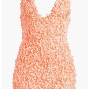 House of CB Peach Floral Textured Dress